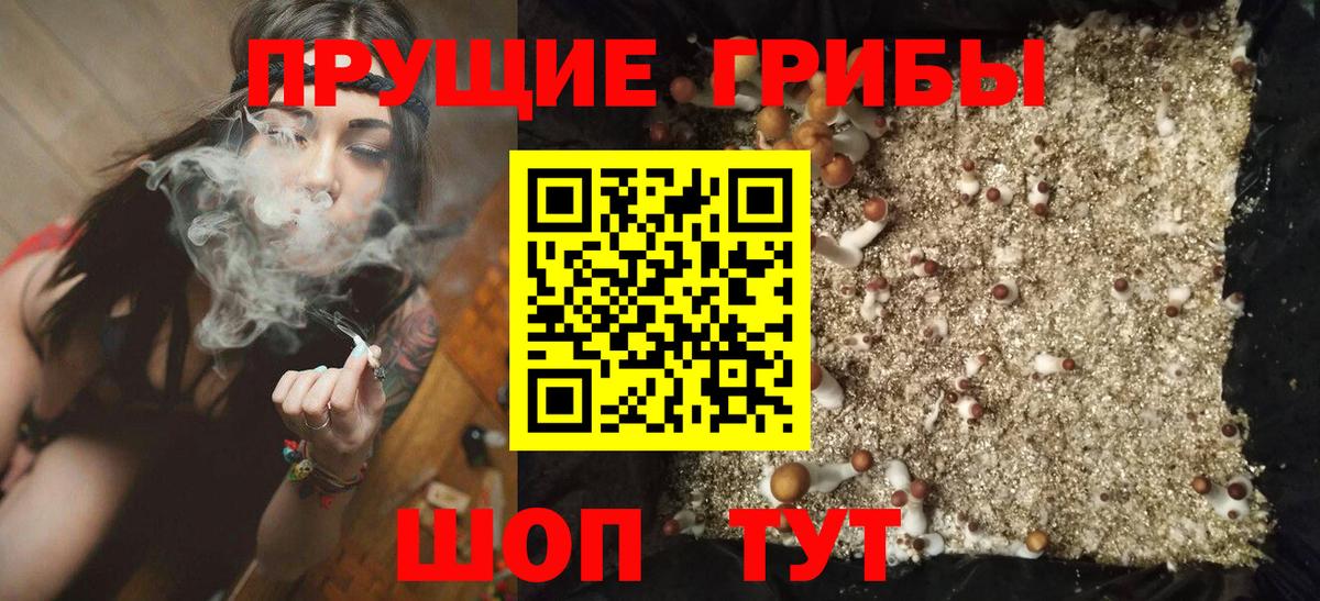 Псилоцибиновые грибы GOLDEN TEACHER Старая Русса