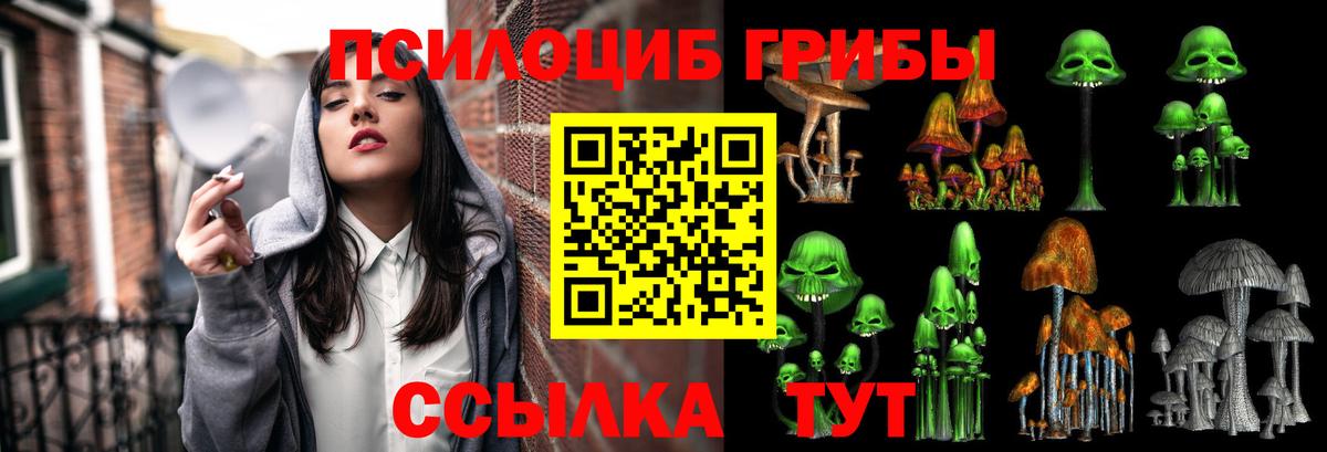 Старая Русса  Галлюциногенные грибы Cubensis  Вход с VPN 